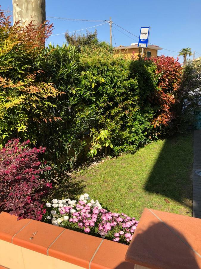 B & B Da Ferro Massarosa Dış mekan fotoğraf