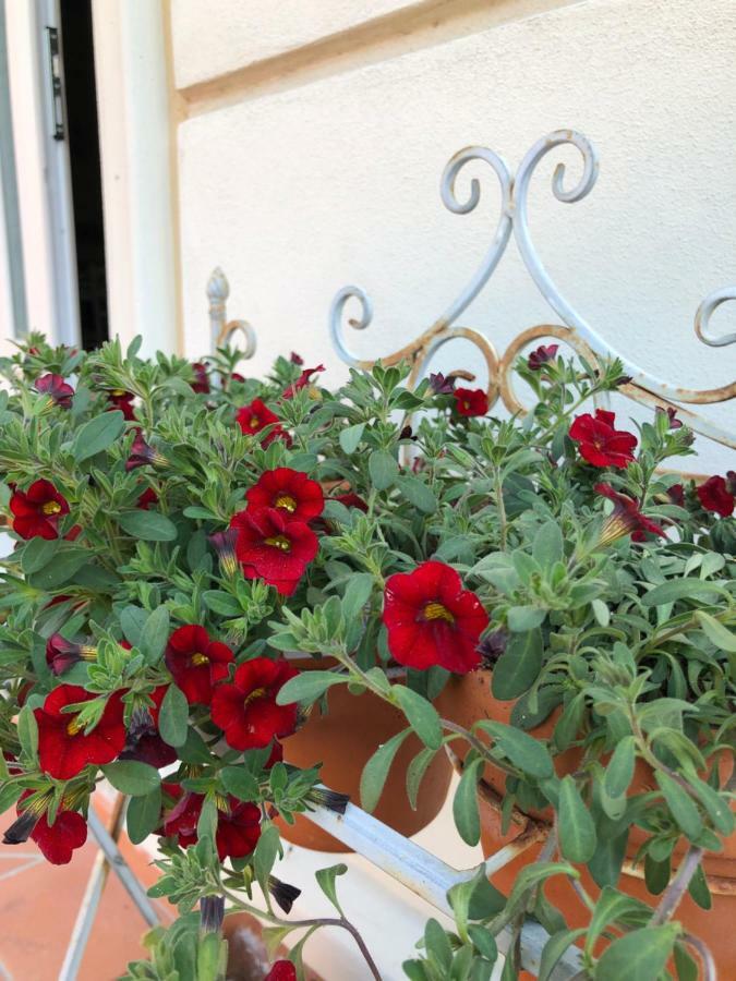 B & B Da Ferro Massarosa Dış mekan fotoğraf