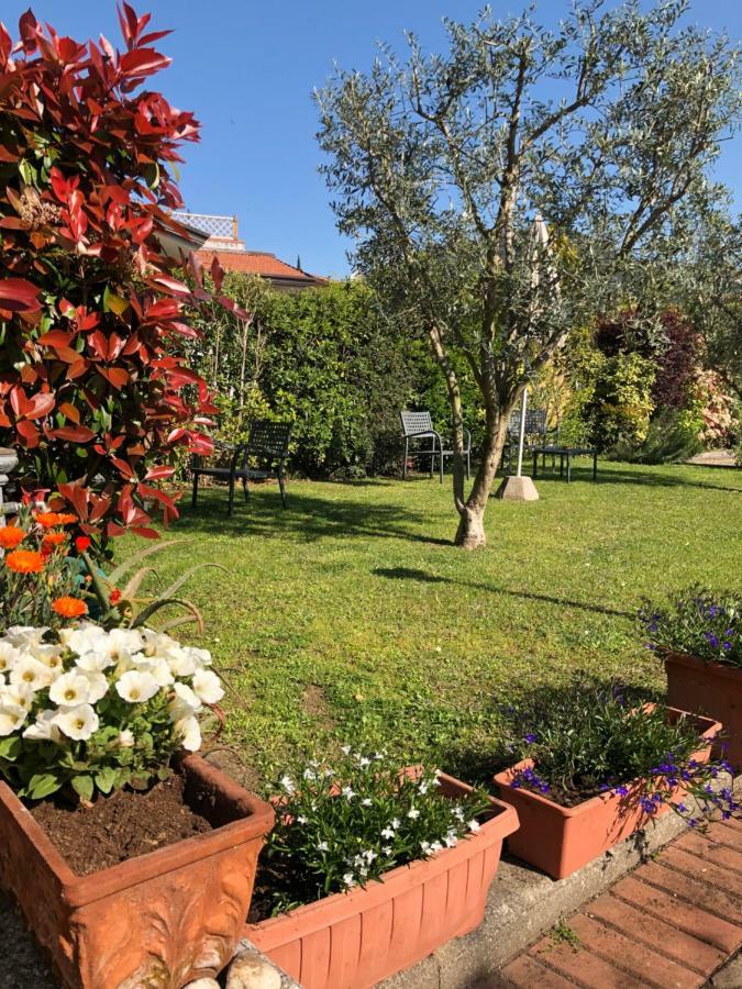 B & B Da Ferro Massarosa Dış mekan fotoğraf