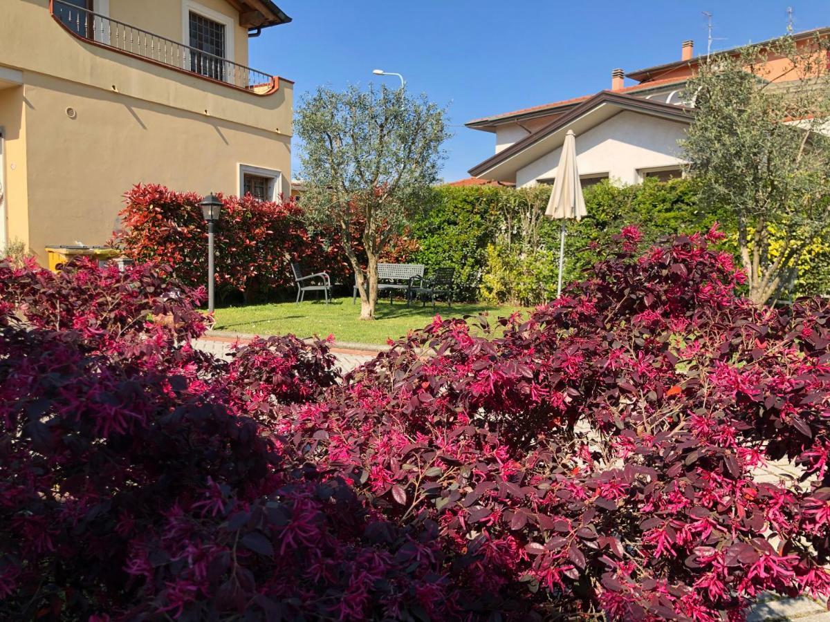 B & B Da Ferro Massarosa Dış mekan fotoğraf