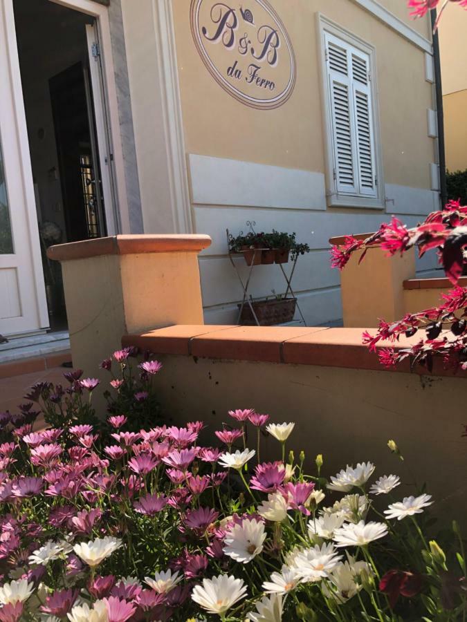 B & B Da Ferro Massarosa Dış mekan fotoğraf